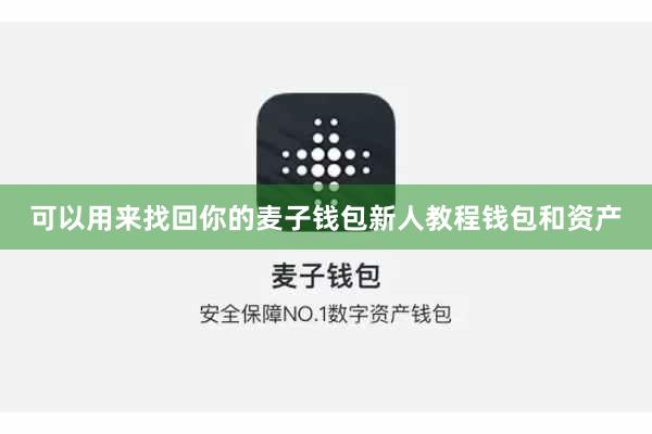 可以用来找回你的麦子钱包新人教程钱包和资产