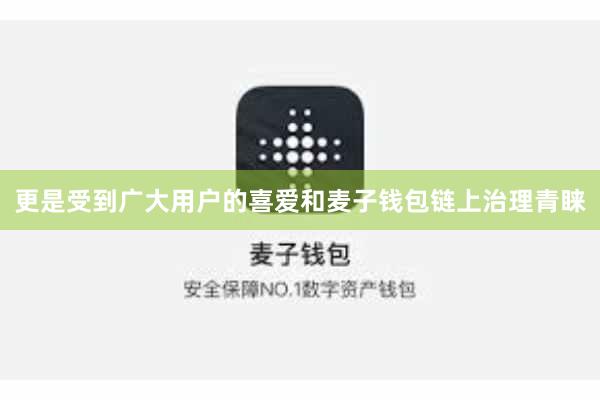 更是受到广大用户的喜爱和麦子钱包链上治理青睐