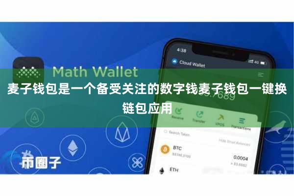 麦子钱包是一个备受关注的数字钱麦子钱包一键换链包应用