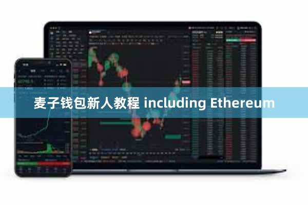 麦子钱包新人教程 including Ethereum