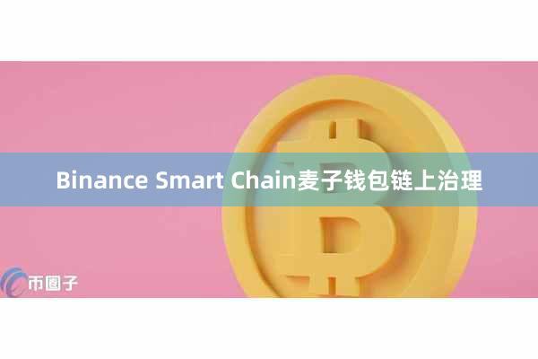 Binance Smart Chain麦子钱包链上治理