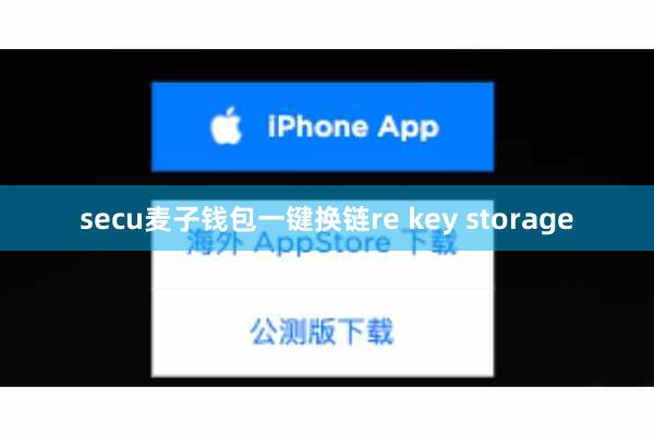 secu麦子钱包一键换链re key storage