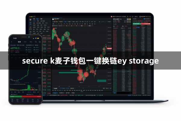 secure k麦子钱包一键换链ey storage