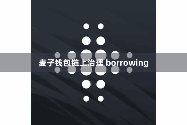 麦子钱包链上治理 borrowing