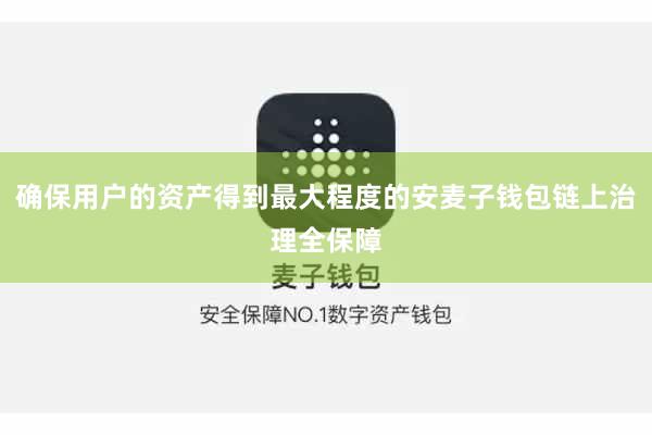 确保用户的资产得到最大程度的安麦子钱包链上治理全保障