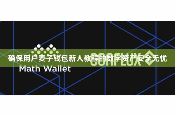 确保用户麦子钱包新人教程的数字资产安全无忧