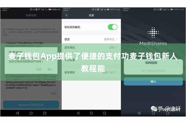 麦子钱包App提供了便捷的支付功麦子钱包新人教程能