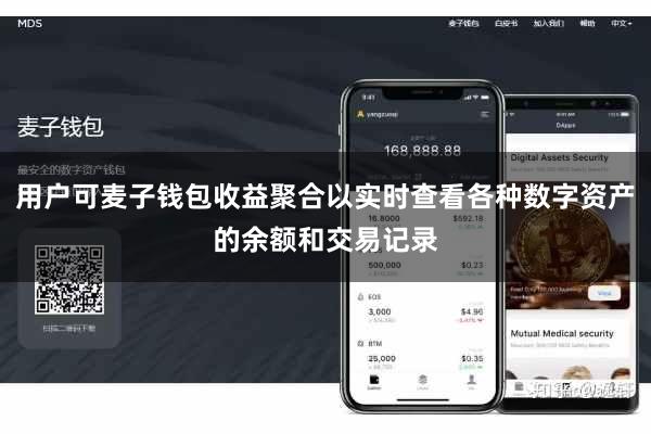 用户可麦子钱包收益聚合以实时查看各种数字资产的余额和交易记录