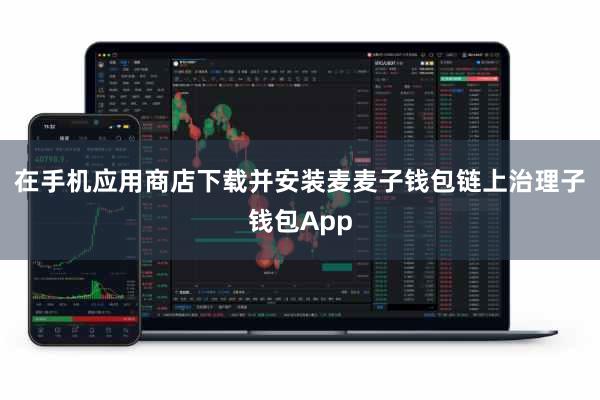在手机应用商店下载并安装麦麦子钱包链上治理子钱包App