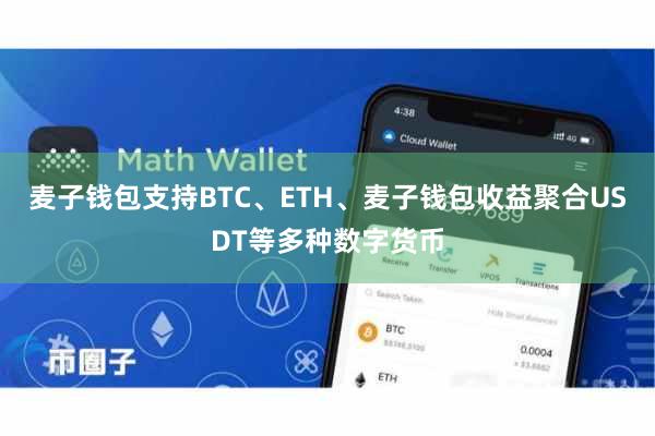 麦子钱包支持BTC、ETH、麦子钱包收益聚合USDT等多种数字货币