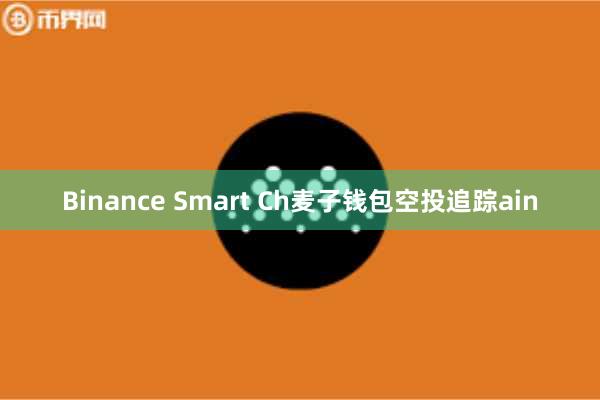Binance Smart Ch麦子钱包空投追踪ain