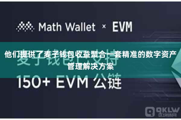 他们提供了麦子钱包收益聚合一套精准的数字资产管理解决方案