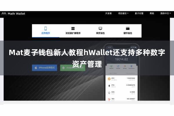 Mat麦子钱包新人教程hWallet还支持多种数字资产管理